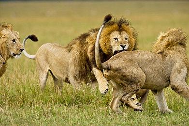 《Concord》似乎被索尼抛弃 PlayStation官推已经不宣传这款游戏