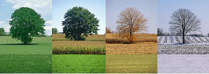 《卡普空街机全集2》现身韩国分级网站