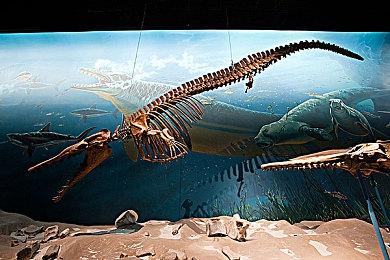 《英灵神殿》获《暗黑破坏神：不朽》风格8K地图